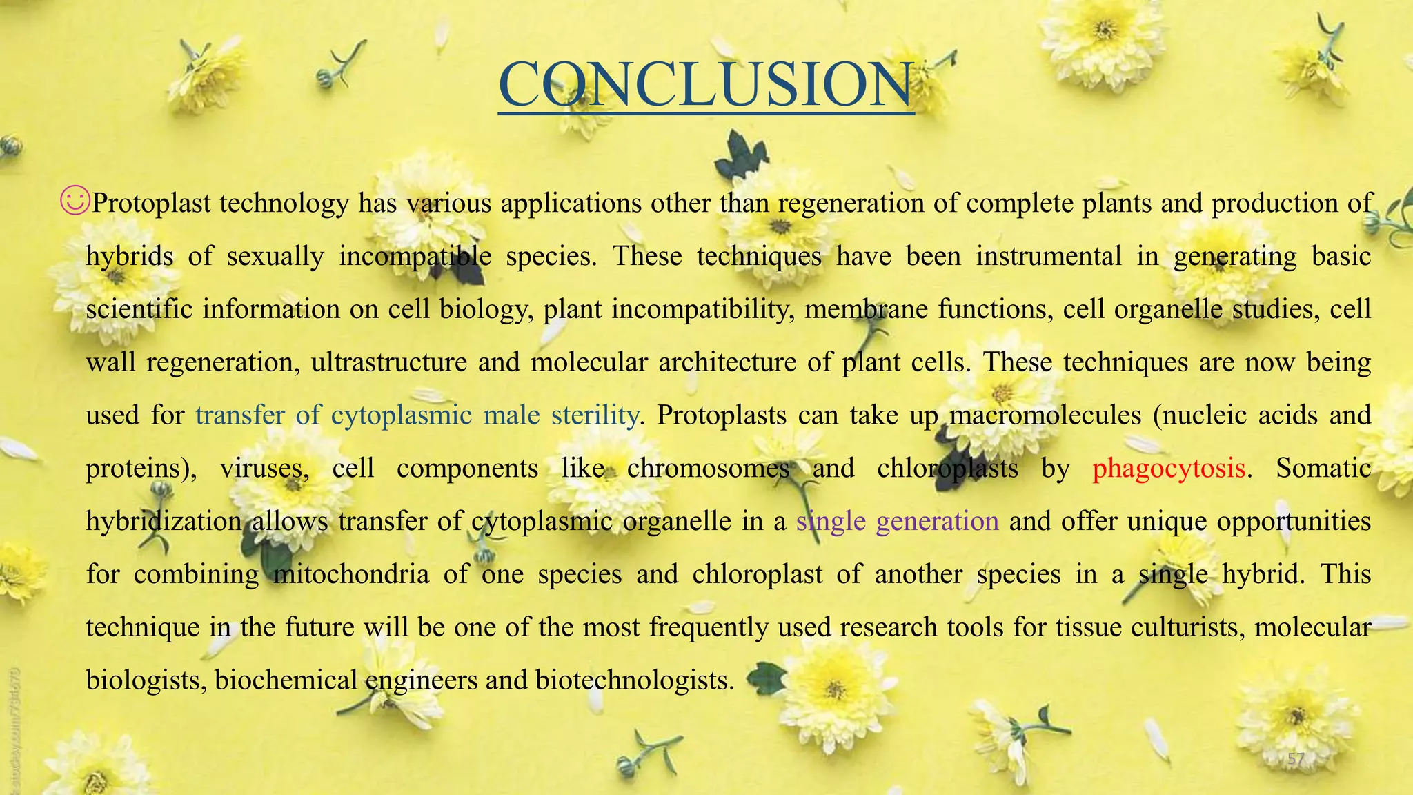 CONCLUSION
☺Protoplast technology has various applications other than regeneration of complete plants and production of
hybrids of sexually incompatible species. These techniques have been instrumental in generating basic
scientific information on cell biology, plant incompatibility, membrane functions, cell organelle studies, cell
wall regeneration, ultrastructure and molecular architecture of plant cells. These techniques are now being
used for transfer of cytoplasmic male sterility. Protoplasts can take up macromolecules (nucleic acids and
proteins), viruses, cell components like chromosomes and chloroplasts by phagocytosis. Somatic
hybridization allows transfer of cytoplasmic organelle in a single generation and offer unique opportunities
for combining mitochondria of one species and chloroplast of another species in a single hybrid. This
technique in the future will be one of the most frequently used research tools for tissue culturists, molecular
biologists, biochemical engineers and biotechnologists.
57
 