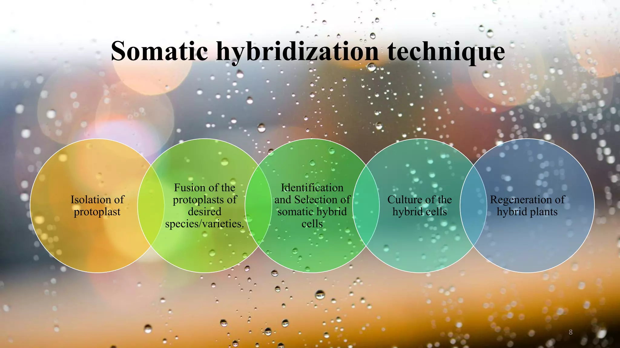 Somatic hybridization technique
Isolation of
protoplast
Fusion of the
protoplasts of
desired
species/varieties.
Identification
and Selection of
somatic hybrid
cells
Culture of the
hybrid cells
Regeneration of
hybrid plants
8
 