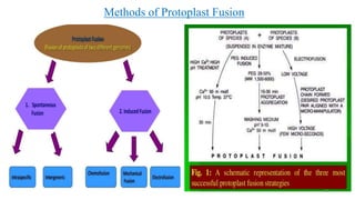 Methods of Protoplast Fusion
19
 