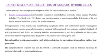 IDENTIFICATION AND SELECTION OF SOMATIC HYBRID CELLS
Various protocols have been proposed and practiced for the effective selection of hybrids:
1. Genetic Complementation: Complimentary selection of somatic hybrids on specific culture medium (Melscher
& Labib 1974; Smith et al.1976). In this case complementation or genetic or metabolic deficiencies of the two
fusion partners are utilized to select the hybrid component.
When protoplasts of two parents, (one parent bearing cytoplasmic albino trait and the other parent bearing green
trait) each parent carrying a non-allelic genetic or metabolic defect are fused, it reconstitutes a viable hybrid cell, of
wild type in which both defects are mutually abolished by complementation, and the hybrid cells are able to grow
on minimal medium nonpermissive to the growth of the parental cells bearing green trait.
Later, the calli of hybrid nature could be easily distinguished from the parental type tissue (albino trait) by their
green color.
The complementation selection can also be applied to dominant characters, such as dominant resistance to
antibiotics, herbicides or amino acid analogues.
27
 