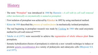 History
† The term “Protoplast” was introduced in 1880 by Hanstein - A cell with its cell wall removed
either mechanically or enzymatically is named as protoplast.
† First isolation of protoplast was achieved by Klercker in 1892 by using mechanical method.
† Küster in 1909 described the process of random fusion in mechanically isolated protoplasts.
† The real beginning in protoplast research was made by Cocking in 1960 who used enzymatic
method for cell wall removal.******
† Takebe et al (1971) were successful to achieve the regeneration of whole tobacco plant from
protoplasts.
† Somatic hybridization (fusion of protoplasts) is relatively a new versatile technique to induce or
promote genetic recombination in a variety of prokaryotic and eukaryotic cells (Bhojwani S.S.
et al 1977).
3
 