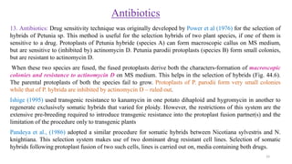 Antibiotics
13. Antibiotics: Drug sensitivity technique was originally developed by Power et al (1976) for the selection of
hybrids of Petunia sp. This method is useful for the selection hybrids of two plant species, if one of them is
sensitive to a drug. Protoplasts of Petunia hybride (species A) can form macroscopic callus on MS medium,
but are sensitive to (inhibited by) actinomycin D. Petunia parodii protoplasts (species B) form small colonies,
but are resistant to actinomycin D.
When these two species are fused, the fused protoplasts derive both the characters-formation of macroscopic
colonies and resistance to actinomycin D on MS medium. This helps in the selection of hybrids (Fig. 44.6).
The parental protoplasts of both the species fail to grow. Protoplasts of P. parodii form very small colonies
while that of P. hybrida are inhibited by actinomycin D – ruled out.
Ishige (1995) used transgenic resistance to kanamycin in one potato dihaploid and hygromycin in another to
regenerate exclusively somatic hybrids that varied for ploidy. However, the restrictions of this system are the
extensive pre-breeding required to introduce transgenic resistance into the protoplast fusion partner(s) and the
limitation of the procedure only to transgenic plants
Pandeya et al., (1986) adopted a similar procedure for somatic hybrids between Nicotiana sylvestris and N.
knightiana. This selection system makes use of two dominant drug resistant cell lines. Selection of somatic
hybrids following protoplast fusion of two such cells, lines is carried out on, media containing both drugs.
33
 