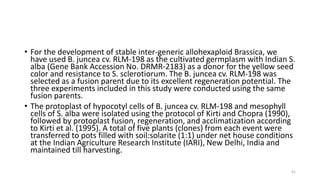 • For the development of stable inter-generic allohexaploid Brassica, we
have used B. juncea cv. RLM-198 as the cultivated germplasm with Indian S.
alba (Gene Bank Accession No. DRMR-2183) as a donor for the yellow seed
color and resistance to S. sclerotiorum. The B. juncea cv. RLM-198 was
selected as a fusion parent due to its excellent regeneration potential. The
three experiments included in this study were conducted using the same
fusion parents.
• The protoplast of hypocotyl cells of B. juncea cv. RLM-198 and mesophyll
cells of S. alba were isolated using the protocol of Kirti and Chopra (1990),
followed by protoplast fusion, regeneration, and acclimatization according
to Kirti et al. (1995). A total of five plants (clones) from each event were
transferred to pots filled with soil:solarite (1:1) under net house conditions
at the Indian Agriculture Research Institute (IARI), New Delhi, India and
maintained till harvesting.
41
 