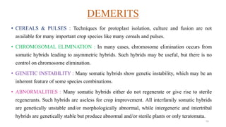 DEMERITS
• CEREALS & PULSES : Techniques for protoplast isolation, culture and fusion are not
available for many important crop species like many cereals and pulses.
• CHROMOSOMAL ELIMINATION : In many cases, chromosome elimination occurs from
somatic hybrids leading to asymmetric hybrids. Such hybrids may be useful, but there is no
control on chromosome elimination.
• GENETIC INSTABILITY : Many somatic hybrids show genetic instability, which may be an
inherent feature of some species combinations.
• ABNORMALITIES : Many somatic hybrids either do not regenerate or give rise to sterile
regenerants. Such hybrids are useless for crop improvement. All interfamily somatic hybrids
are genetically unstable and/or morphologically abnormal, while intergeneric and intertribal
hybrids are genetically stable but produce abnormal and/or sterile plants or only teratomata.
55
 
