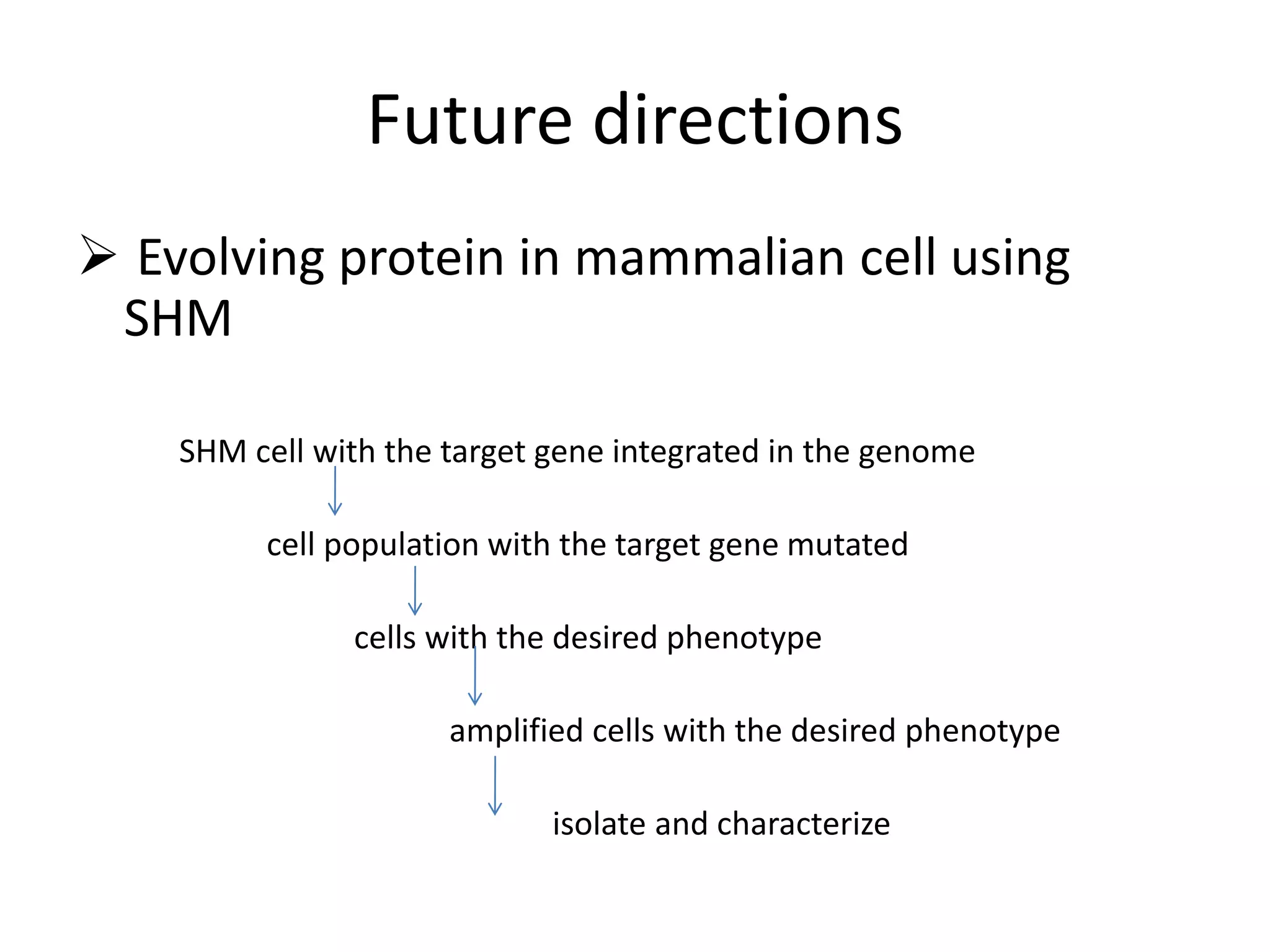 Future directions Evolving protein in mammalian cell using SHM             SHM cell with the target gene integrated in the genome                        cell population with the target gene mutated                                    cells with the desired phenotype                                               amplified cells with the desired phenotype                                                            isolate and characterize
