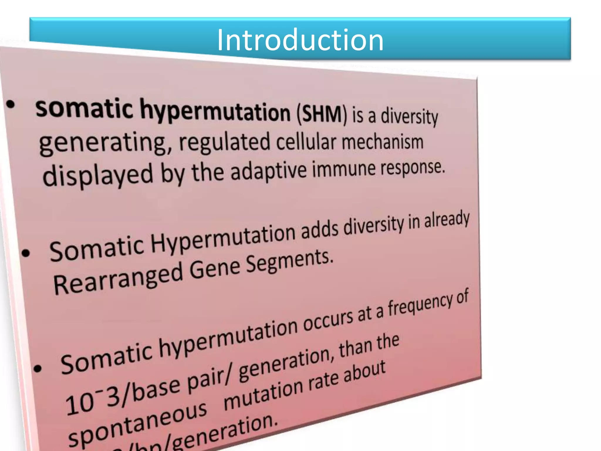 Introductionsomatic hypermutation (SHM) is a diversity generating, regulated cellular mechanism displayed by the adaptive immune response.Somatic Hypermutation adds diversity in already Rearranged Gene Segments.Somatic hypermutation occurs at a frequency of    10¯3/base pair/ generation, than the spontaneous   mutation rate about 10⁻8/bp/generation.