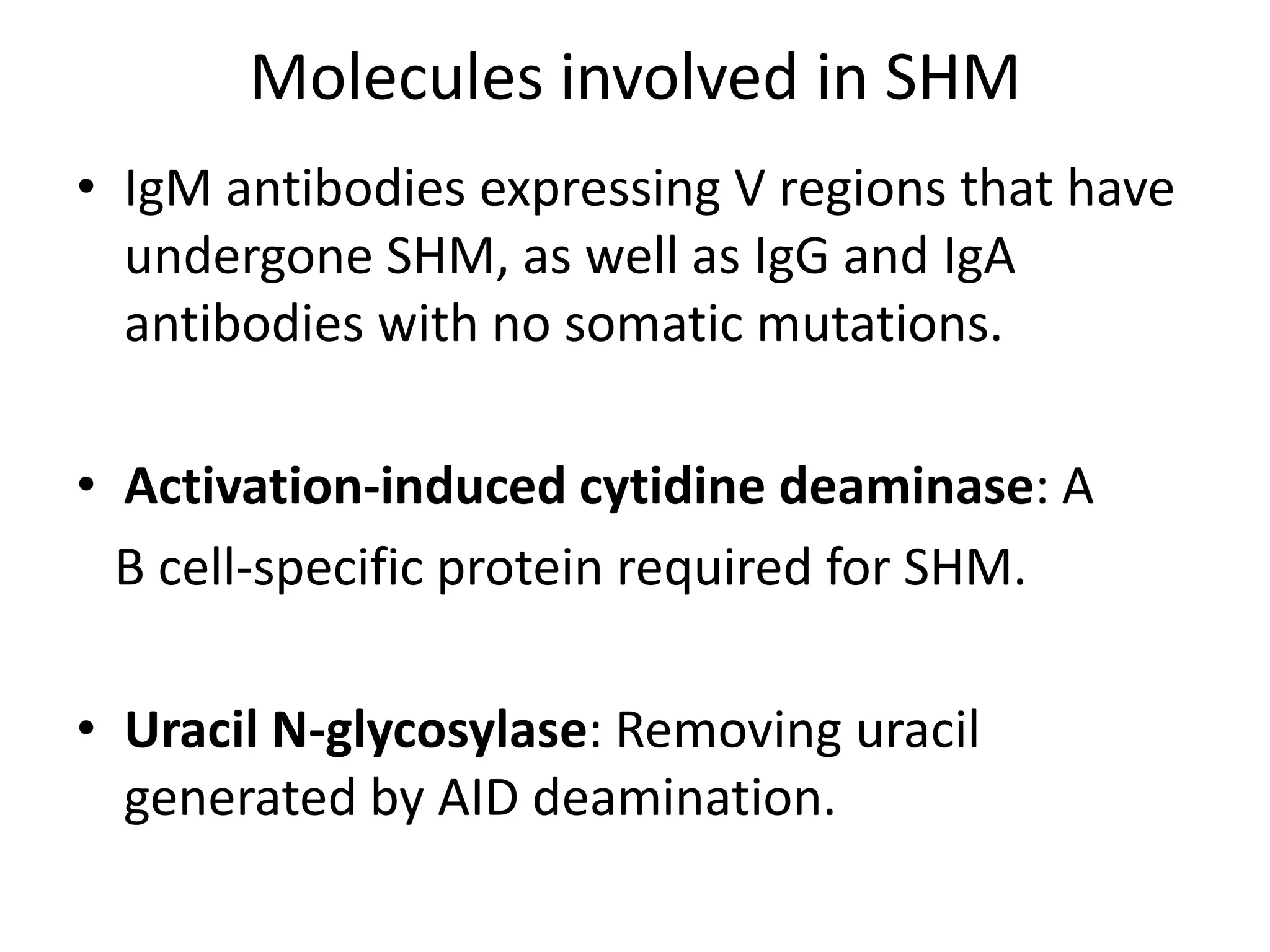 Molecules involved in SHMIgM antibodies expressing V regions that have undergone SHM, as well as IgG and IgA antibodies with no somatic mutations.Activation-induced cytidinedeaminase: A  B cell-specific protein required for SHM.Uracil N-glycosylase: Removing uracil generated by AID deamination.