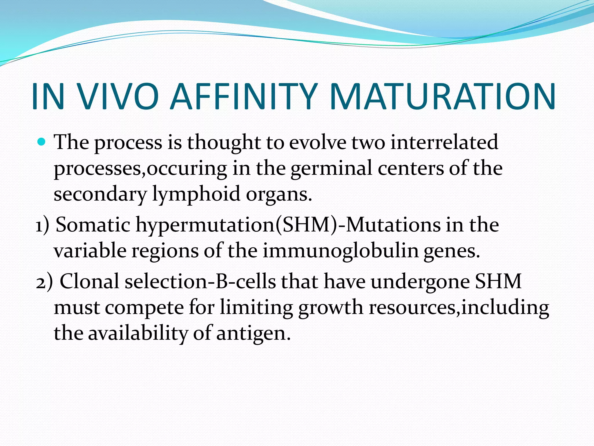 IN VIVO AFFINITY MATURATION
 The process is thought to evolve two interrelated

processes,occuring in the germinal centers of the
secondary lymphoid organs.
1) Somatic hypermutation(SHM)-Mutations in the
variable regions of the immunoglobulin genes.
2) Clonal selection-B-cells that have undergone SHM
must compete for limiting growth resources,including
the availability of antigen.

 