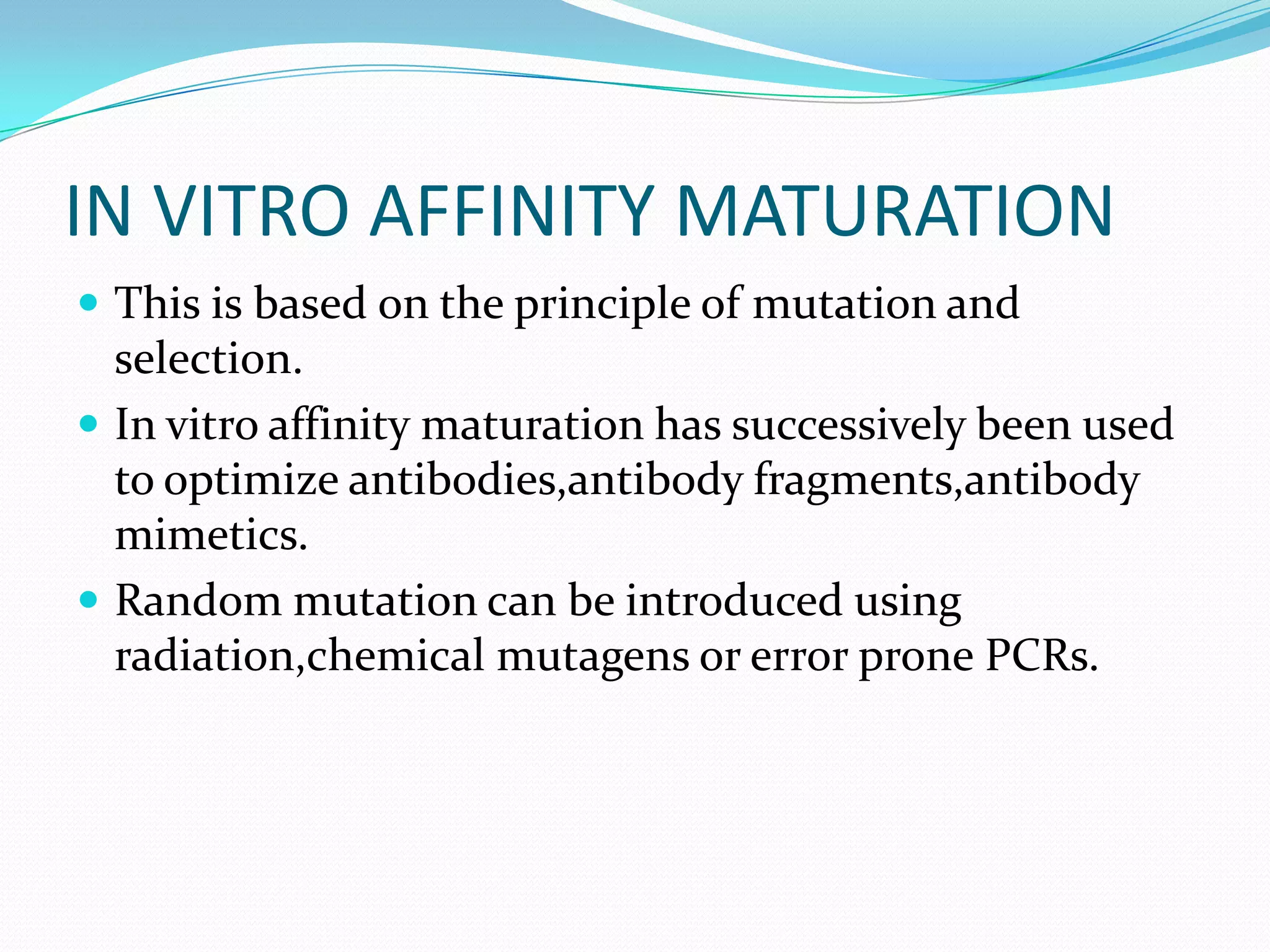 IN VITRO AFFINITY MATURATION
 This is based on the principle of mutation and

selection.
 In vitro affinity maturation has successively been used
to optimize antibodies,antibody fragments,antibody
mimetics.
 Random mutation can be introduced using
radiation,chemical mutagens or error prone PCRs.

 