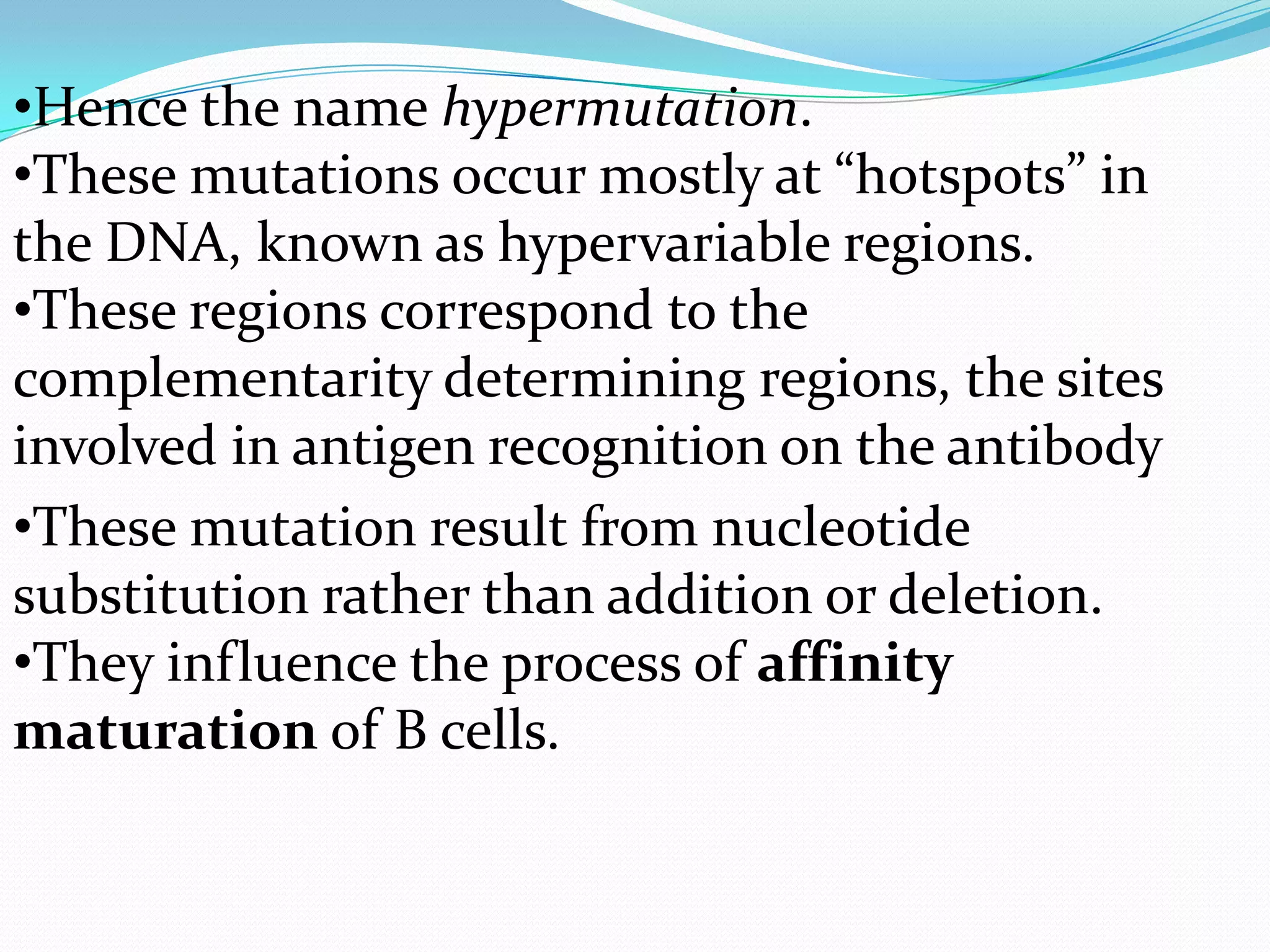 •Hence the name hypermutation.
•These mutations occur mostly at “hotspots” in
the DNA, known as hypervariable regions.
•These regions correspond to the
complementarity determining regions, the sites
involved in antigen recognition on the antibody
•These mutation result from nucleotide
substitution rather than addition or deletion.
•They influence the process of affinity
maturation of B cells.

 