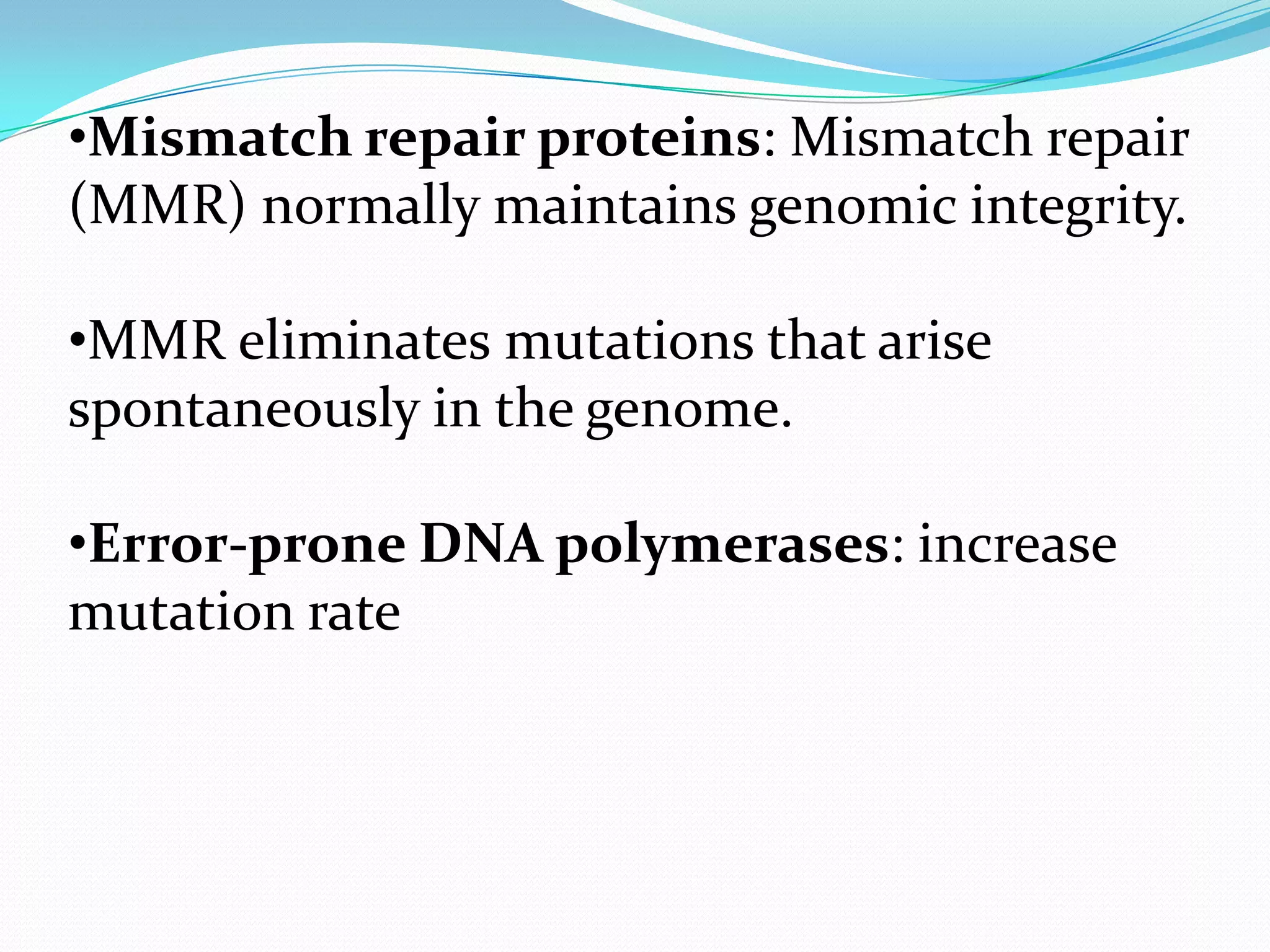 •Mismatch repair proteins: Mismatch repair
(MMR) normally maintains genomic integrity.
•MMR eliminates mutations that arise
spontaneously in the genome.
•Error-prone DNA polymerases: increase
mutation rate

 