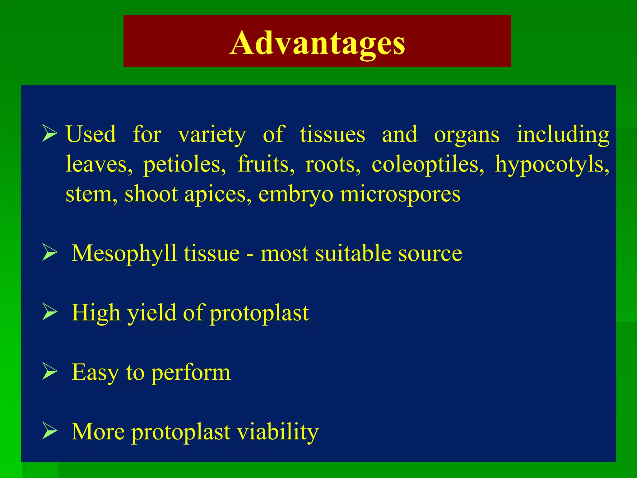 Advantages
 Used for variety of tissues and organs including
leaves, petioles, fruits, roots, coleoptiles, hypocotyls,
stem, shoot apices, embryo microspores
 Mesophyll tissue - most suitable source
 High yield of protoplast
 Easy to perform
 More protoplast viability
 
