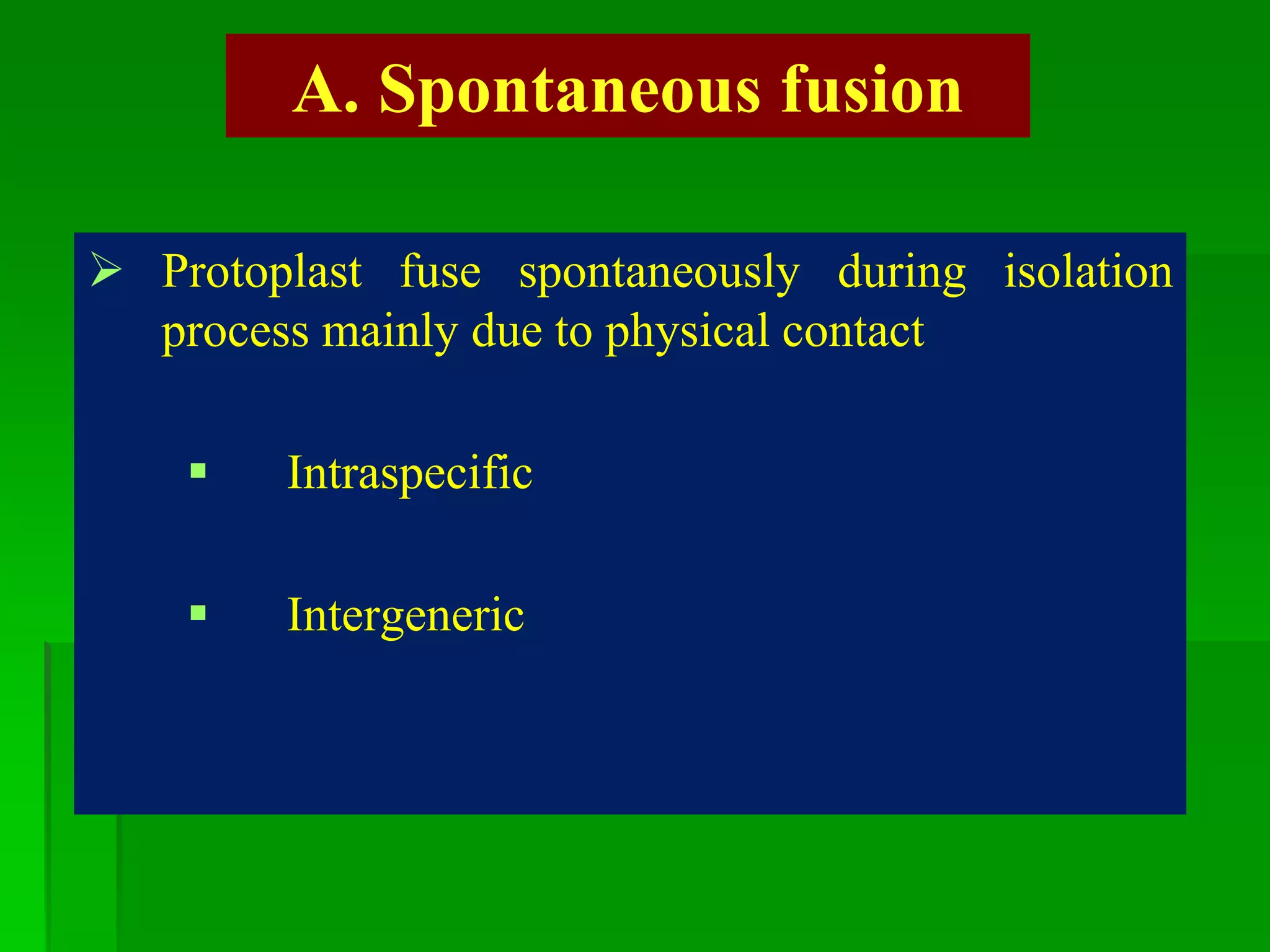 A. Spontaneous fusion
 Protoplast fuse spontaneously during isolation
process mainly due to physical contact
 Intraspecific
 Intergeneric
 