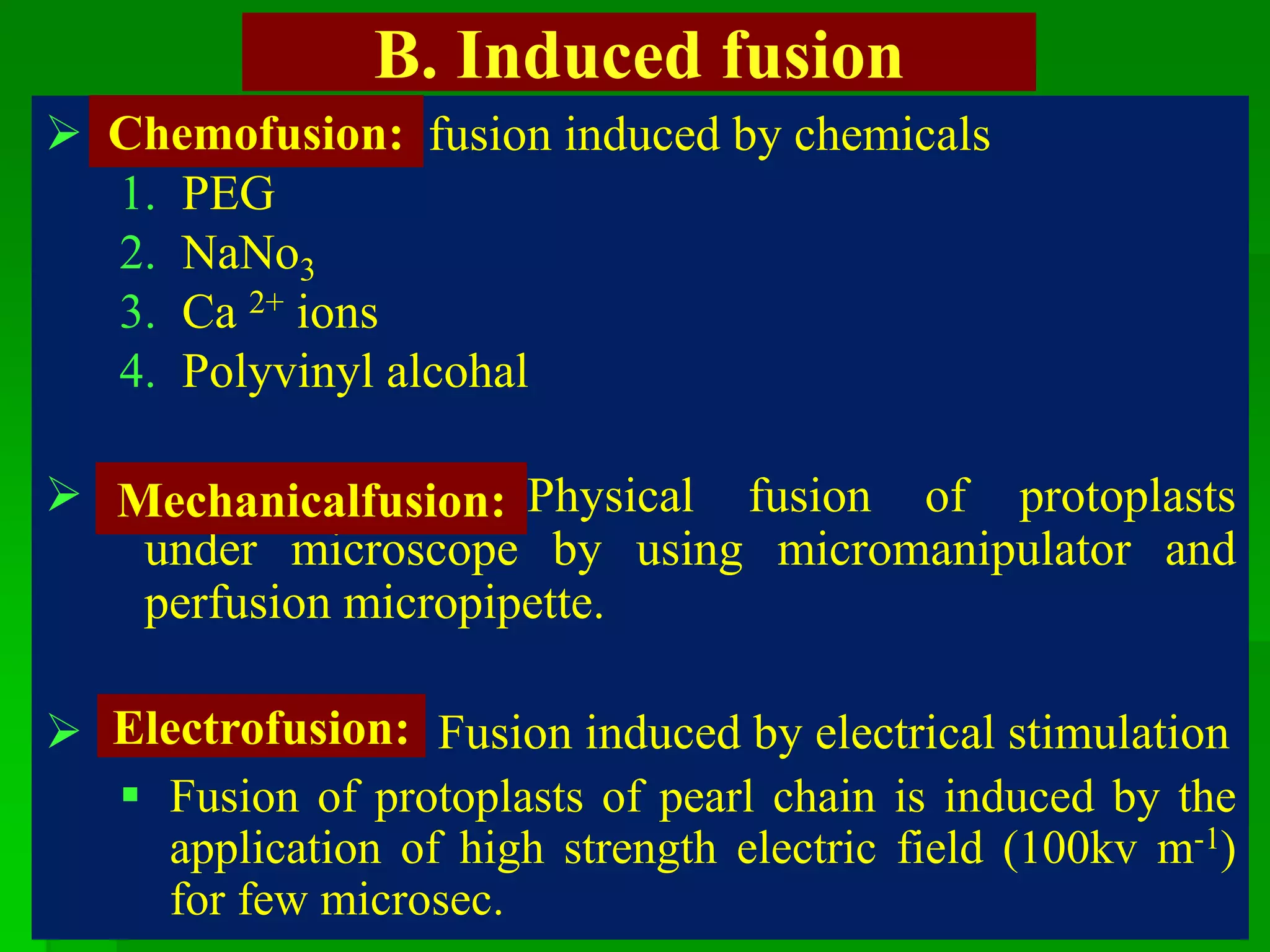 B. Induced fusion
 fusion induced by chemicals
1. PEG
2. NaNo3
3. Ca 2+ ions
4. Polyvinyl alcohal
 Physical fusion of protoplasts
under microscope by using micromanipulator and
perfusion micropipette.
 Fusion induced by electrical stimulation
 Fusion of protoplasts of pearl chain is induced by the
application of high strength electric field (100kv m-1)
for few microsec.
Chemofusion:
Mechanicalfusion:
Electrofusion:
 