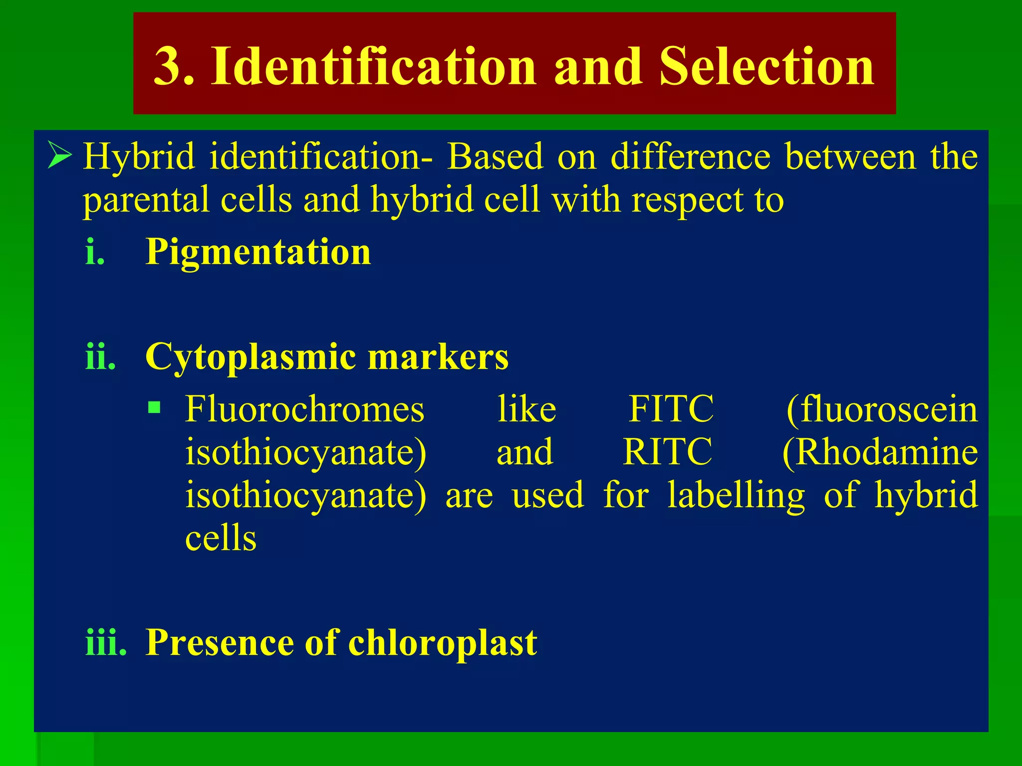 3. Identification and Selection
 Hybrid identification- Based on difference between the
parental cells and hybrid cell with respect to
i. Pigmentation
ii. Cytoplasmic markers
 Fluorochromes like FITC (fluoroscein
isothiocyanate) and RITC (Rhodamine
isothiocyanate) are used for labelling of hybrid
cells
iii. Presence of chloroplast
 