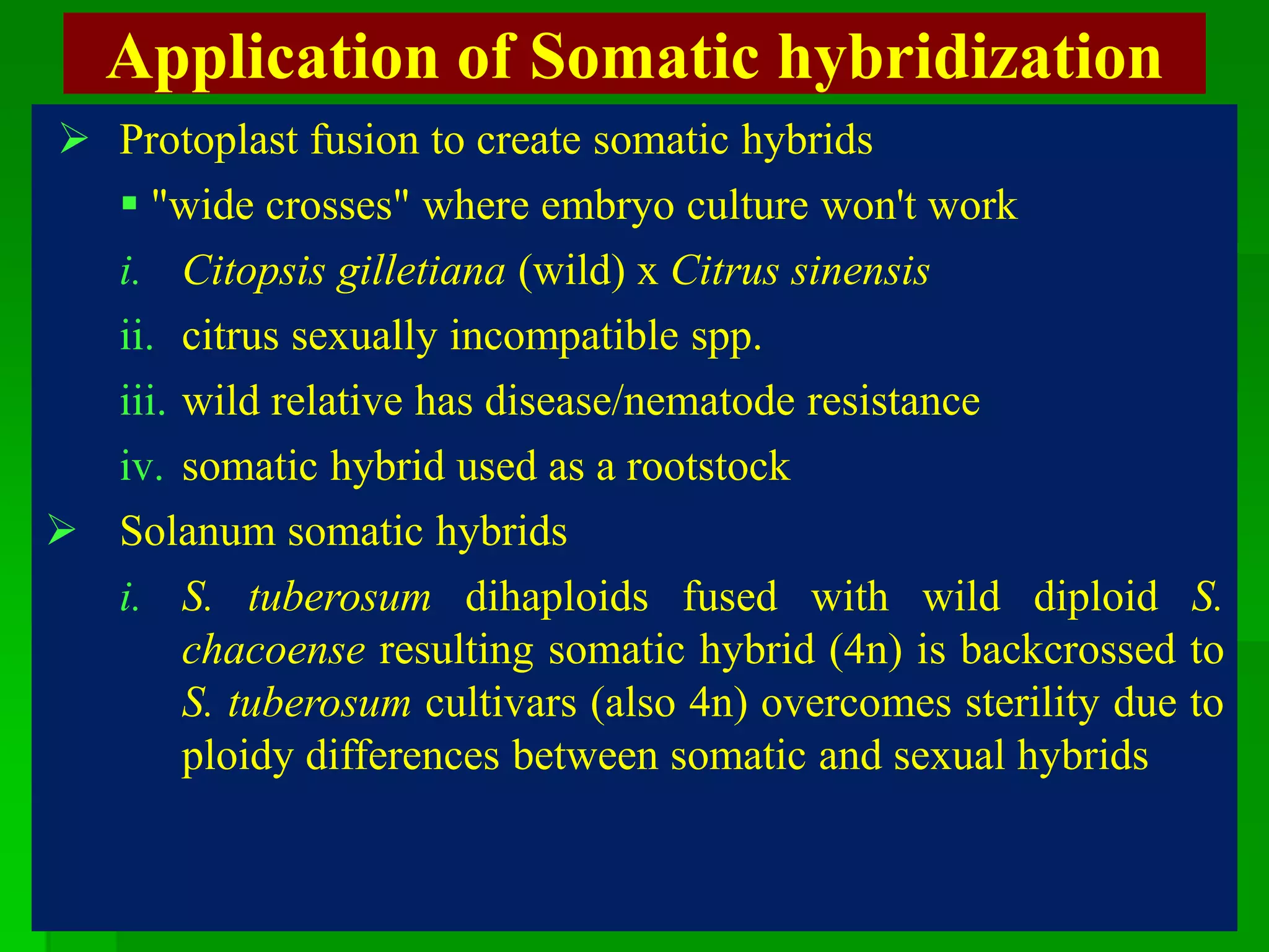 Application of Somatic hybridization
 Protoplast fusion to create somatic hybrids
 "wide crosses" where embryo culture won't work
i. Citopsis gilletiana (wild) x Citrus sinensis
ii. citrus sexually incompatible spp.
iii. wild relative has disease/nematode resistance
iv. somatic hybrid used as a rootstock
 Solanum somatic hybrids
i. S. tuberosum dihaploids fused with wild diploid S.
chacoense resulting somatic hybrid (4n) is backcrossed to
S. tuberosum cultivars (also 4n) overcomes sterility due to
ploidy differences between somatic and sexual hybrids
 
