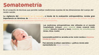 SOMATOMETRIA EN PACIENTES PEDIATRICOS NEONATALES | PDF