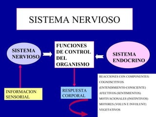 SISTEMA NERVIOSO

              FUNCIONES
  SISTEMA     DE CONTROL
  NERVIOSO                        SISTEMA
              DEL                 ENDOCRINO
              ORGANISMO

                           REACCIONES CON COMPONENTES:
                           COGNOSCITIVOS
                           (ENTENDIMIENTO CONSCIENTE)
INFORMACION    RESPUESTA
                           AFECTIVOS (SENTIMIENTOS)
SENSORIAL      CORPORAL
                           MOTIVACIONALES (INSTINTIVOS)
                           MOTORES (VOLUN E INVOLUNT)
                           VEGETATIVOS
 