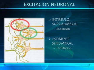 Clasificación 