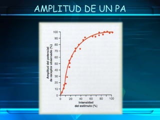 AMPLITUD DE UN PA 