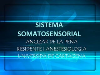 SISTEMA SOMATOSENSORIAL ANCIZAR DE LA PEÑA RESIDENTE I ANESTESIOLOGIA UNIVERSIDA DE CARTAGENA 