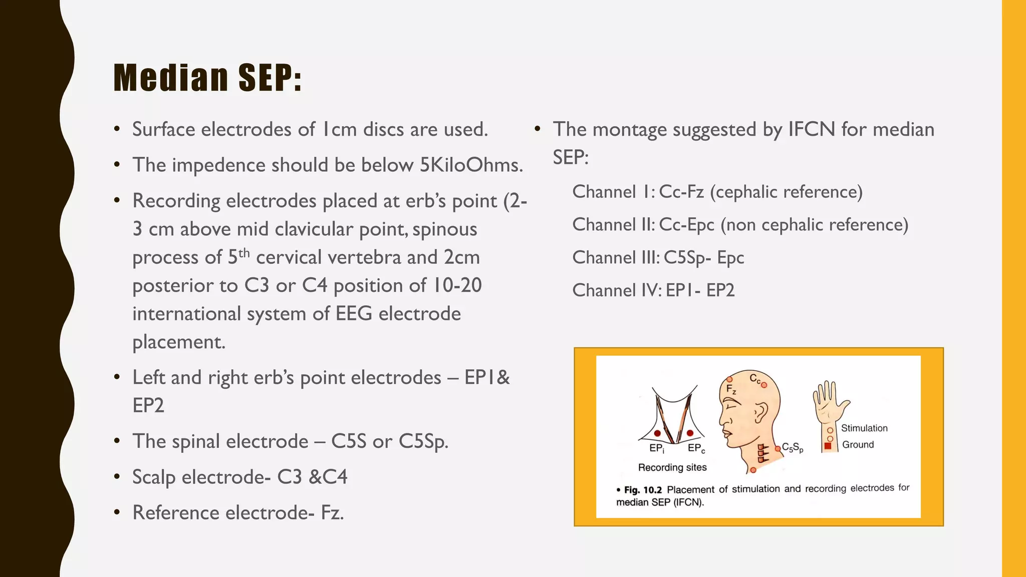 Somatosensory and motor evoked potentials by neelothpala | PDF