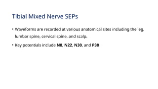 Comprehensive Overview of Somatosensory Evoked Potentials (SEPs) in ...
