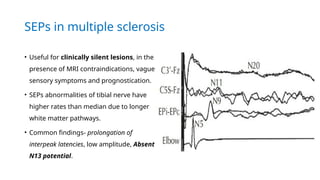 Comprehensive Overview of Somatosensory Evoked Potentials (SEPs) in ...