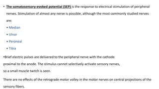 Somatosensory evoked potential | PPTX