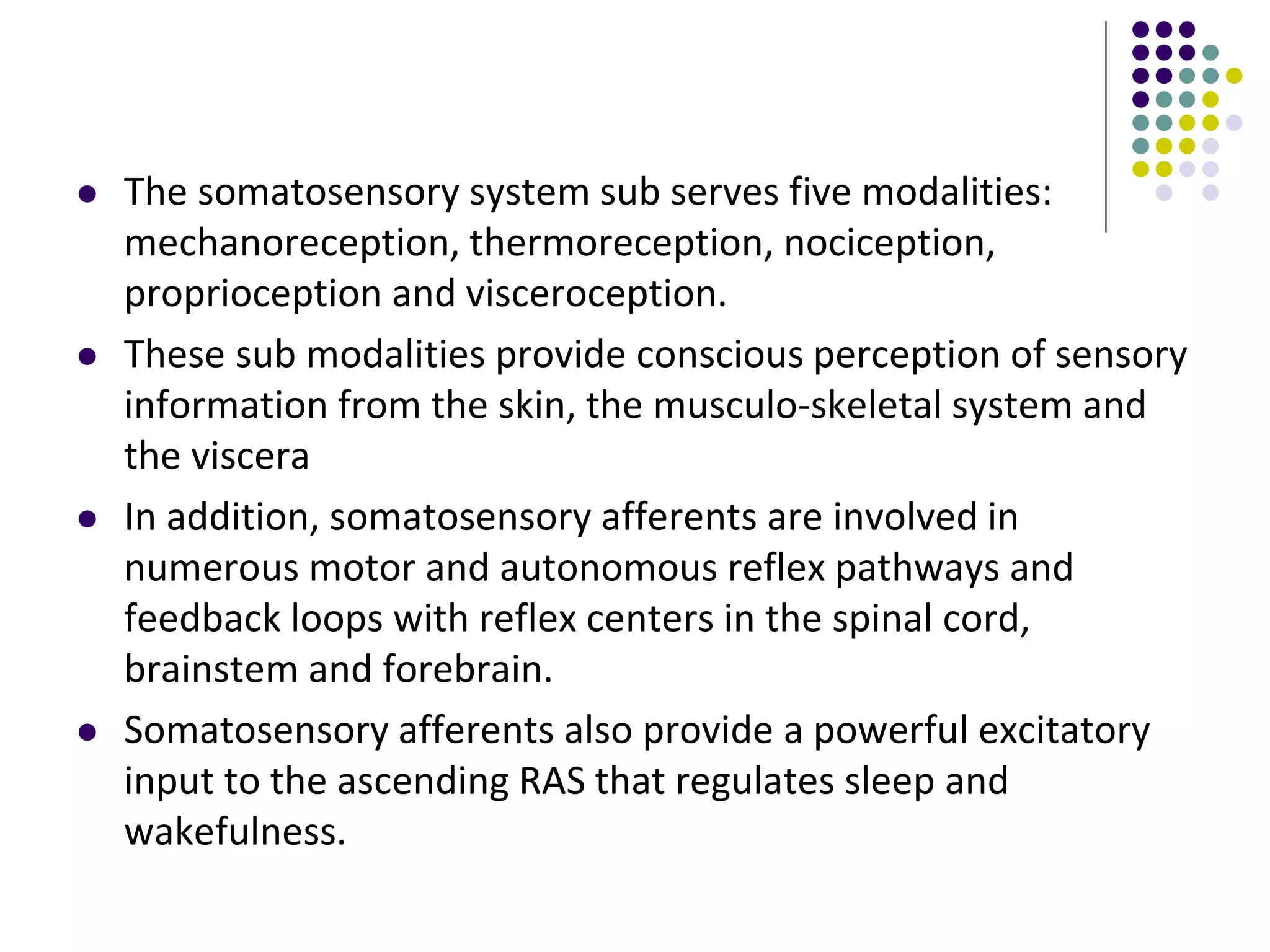 Somatosensory evoked potentials | PPTX