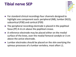 Tibial nerve SEP
 For standard clinical recordings four channels designed to
highlight one component each: peripheral (N8), lumbar (N22),
subcortical (P30) and cortical (P39)
 The peripheral recording electrode is placed in the popliteal
fossa (PF) 4–6 cm above the popliteal crease.
 A reference electrode may be placed either on the medial
surface of the knee, over the medial femoral condyle or 3 cm
above the active electrode.
 Lumbar electrodes should be placed on the skin overlying the
spinous processes of a lumbar vertebra, most often L1.
 