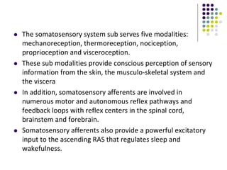  The somatosensory system sub serves five modalities:
mechanoreception, thermoreception, nociception,
proprioception and visceroception.
 These sub modalities provide conscious perception of sensory
information from the skin, the musculo-skeletal system and
the viscera
 In addition, somatosensory afferents are involved in
numerous motor and autonomous reflex pathways and
feedback loops with reflex centers in the spinal cord,
brainstem and forebrain.
 Somatosensory afferents also provide a powerful excitatory
input to the ascending RAS that regulates sleep and
wakefulness.
 