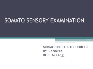 SOMATO SENSORY EXAMINATION
SUBMITTED TO :- DR.DORCUS
BY :- ANKITA
ROLL NO. (03)
 