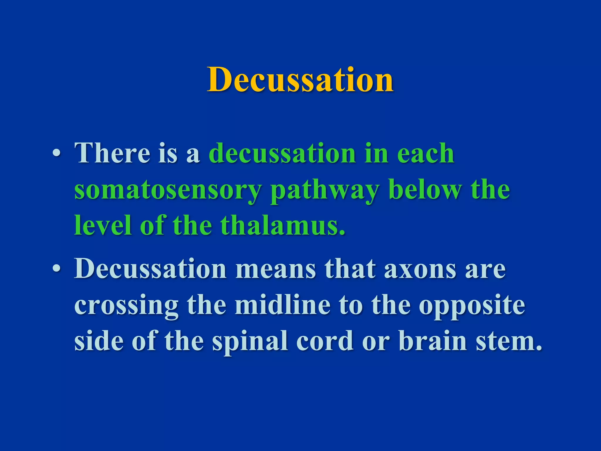 Somatosensory pathway | PPSX