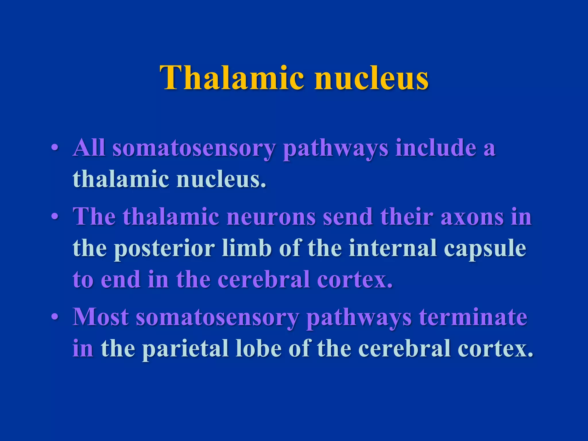 Somatosensory pathway | PPSX
