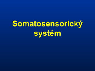 Somatosensorický
systém
 
