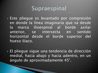    Este pliegue es levantado por compresión
    en donde la línea imaginaria que va desde
    la marca ilioespinal al borde axilar
    anterior,   se   intersecta  en   sentido
    horizontal desde el borde superior del
    hueso iliaco.

   El pliegue sigue una tendencia de dirección
    medial, hacia abajo y hacia adentro, en un
    ángulo de aproximadamente 45°.
 