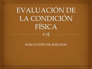 SOMATOTIPO DE SHELDON 
 