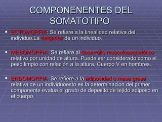 COMPONENENTES DEL SOMATOTIPO  ECTOMORFIA : Se refiere a la linealidad relativa del individuo.La  delgadez  de un individuo.  MESOMORFIA:  Se refiere al  desarrollo musculoesquelético  relativo por unidad de altura. Puede ser considerado como el peso limpio con relación a la altura. Cuerpo V en hombres. ENDOMORFIA : Se refiere a la  adiposidad o masa grasa  relativa de un individuoesto es la determinacion del primer componente evalua el grado de deposito de tejido adiposo en el cuerpo. 