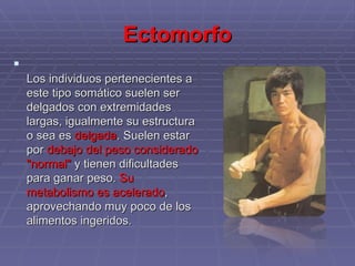 Ectomorfo Los individuos pertenecientes a este tipo somático suelen ser delgados con extremidades largas, igualmente su estructura o sea es  delgada . Suelen estar por  debajo del peso considerado "normal"  y tienen dificultades para ganar peso.  Su metabolismo es acelerado , aprovechando muy poco de los alimentos ingeridos. 