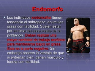 Endomorfo Los individuos  endomorfos  tienen tendencia al sobrepeso: acumulan grasa con facilidad. Suelen estar por encima del peso medio de la población.  Deben realizar una mayor cantidad de trabajo aeróbico para mantenerse bajos en grasa. Esta es la parte negativa.  Sin embargo poseen la ventaja de que si entrenan bien, ganan músculo y fuerza con facilidad. 