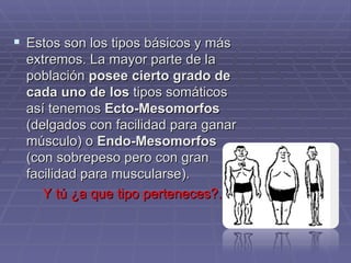Estos son los tipos básicos y más extremos. La mayor parte de la población  posee cierto grado de cada uno de los  tipos somáticos así tenemos  Ecto-Mesomorfos  (delgados con facilidad para ganar músculo) o  Endo-Mesomorfos  (con sobrepeso pero con gran facilidad para muscularse).  Y tú ¿a que tipo perteneces?. 