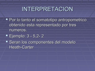 INTERPRETACION
 Por lo tanto el somatotipo antropometrico
obtenido esta representado por tres
numeros.
 Ejemplo: 3 - 5,2- 2
 Seran los componentes del modelo
Heath-Carter

 