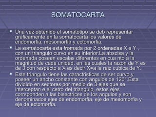 SOMATOCARTA
 Una vez obtenido el somatotipo se deb representar

graficamente en la somatocarta los valores de
endomorfia, mesomorfia y ectomorfia.
 La somatocarta esta fromada por 2 ordenadas X e Y ,
con un triangulo curvo en su interior.La abscisa y la
ordenada poseen escalas diferentes en cua nto a la
magnitud de cada unidad, en las cuales la razon de Y es
de 3 con respecto a X es decir X=a la raiz cubica de Y.
 Este triangulo tiene las caractristicas de ser curvo y
poseer un ancho constante con angulos de 120°.Esta
dividido en sectores por medio de 3 ejes que se
interceptan e el cetro del triangulo, estos ejes
corrsponden a las bisectrices de los angulos y son
denominados ejes de endomorfia, eje de mesomorfia y
eje de ectomorfia.

 