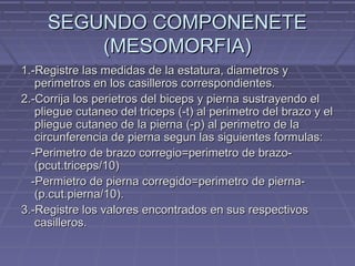 SEGUNDO COMPONENETE
(MESOMORFIA)
1.-Registre las medidas de la estatura, diametros y
perimetros en los casilleros correspondientes.
2.-Corrija los perietros del biceps y pierna sustrayendo el
pliegue cutaneo del triceps (-t) al perimetro del brazo y el
pliegue cutaneo de la pierna (-p) al perimetro de la
circunferencia de pierna segun las siguientes formulas:
-Perimetro de brazo corregio=perimetro de brazo(pcut.triceps/10)
-Permietro de pierna corregido=perimetro de pierna(p.cut.pierna/10).
3.-Registre los valores encontrados en sus respectivos
casilleros.

 