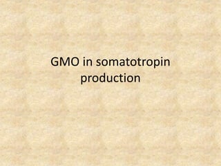 GMO in somatotropin
production
 