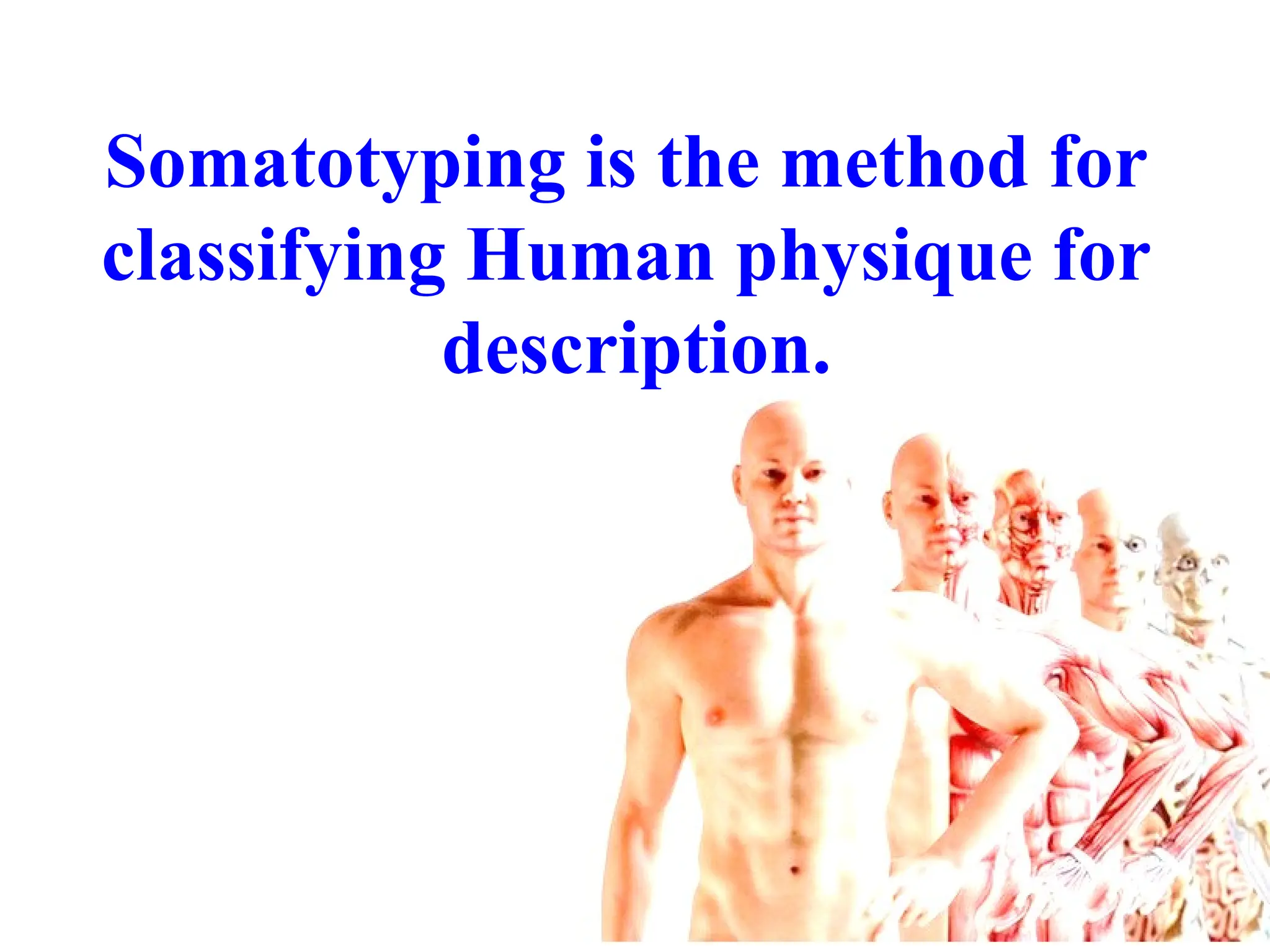 健康・医学 SOMATOTYPING DEVELOPMENT Somatotyping | Cambridge University Press & Assessment