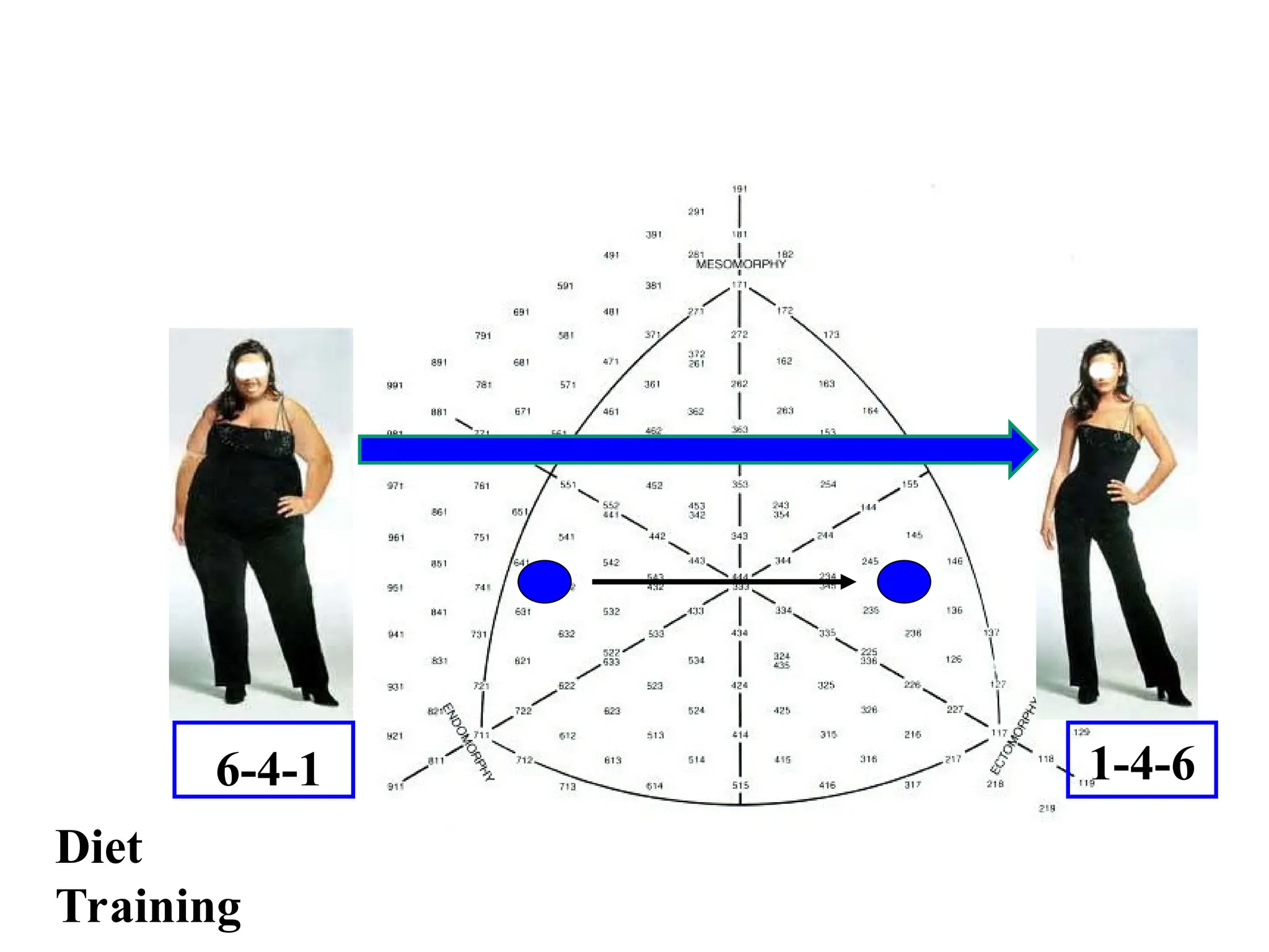 健康・医学 SOMATOTYPING DEVELOPMENT Evolving concepts of the somatomedin hypothesis (with
