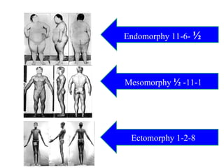 Somatotype-MGM .(1).ppt