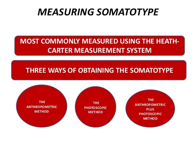 body composition and somatotype of